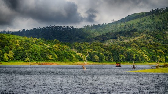 Thekkady - Kerala