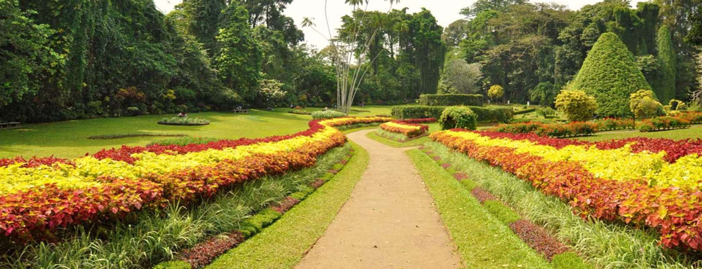Royal Botanical Gardens in Peradeniya
